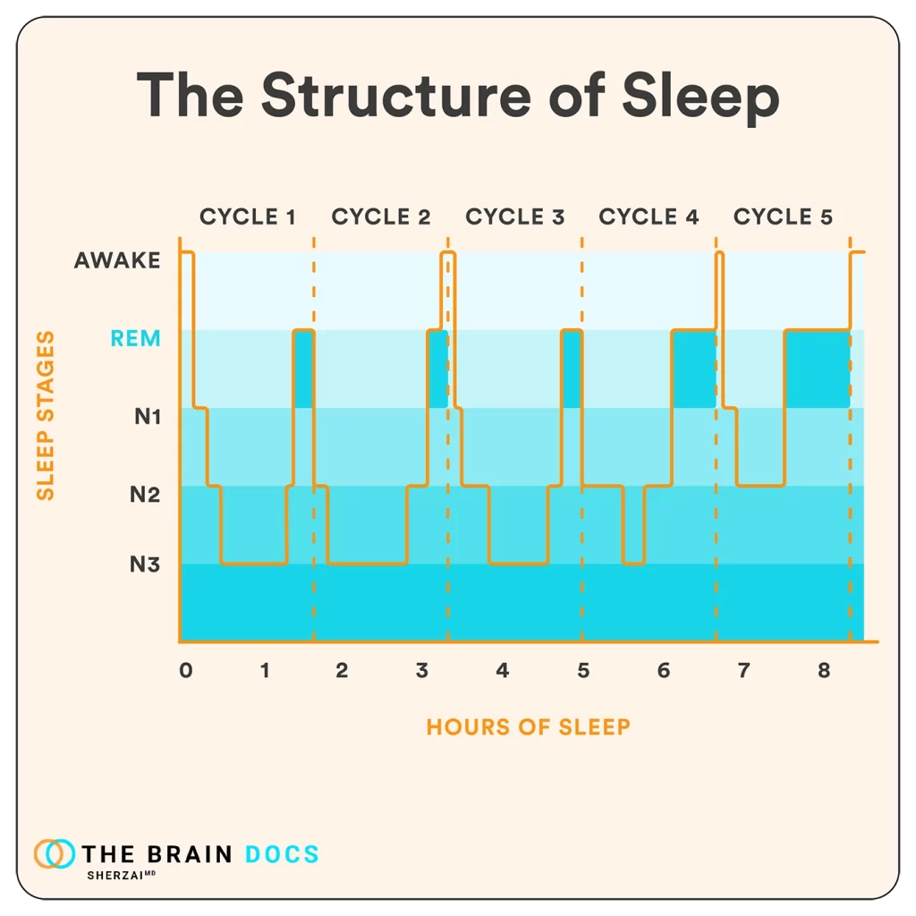 The neuroscience and history of sleep, dreams, and related disorders